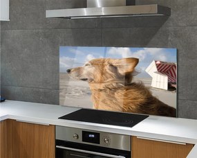 Szklany Panel Pies na Nadmorskiej Plaży