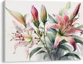 Obraz - Lilie, ilustracje (70x50 cm)