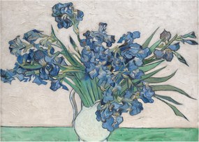 Obraz na szkle - Vincent van Gogh, Irises, reprodukcje (70x50 cm)