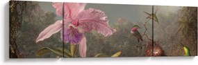 Obraz - Martin Johnson Heade, Cattleya Orchid and Three Hummingbirds, reprodukcje (170x50 cm)