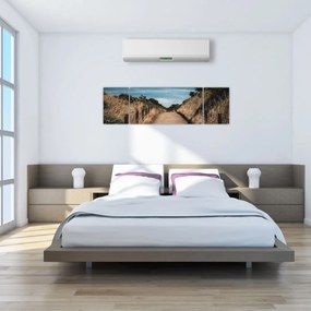 Obraz - Na szlaku (170x50 cm)