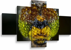 Szczegółowy obraz oczu owadów (125x70 cm)