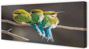 Zdjęcie na płótnie Dwa Ptaki na Gałęzi