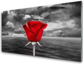 Panel Kuchenny Dzika Róża Nad Brzegiem Morza