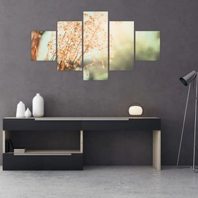 Obraz - Rośliny po deszczu (125x70 cm)
