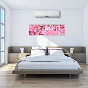 Obraz - Różowe lilie (170x50 cm)