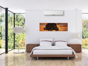 Obraz drzewa o zachodzie słońca (170x50 cm)