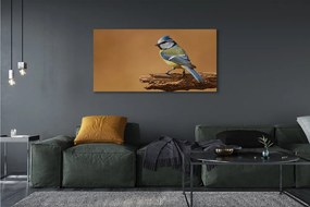 Zdjęcie na płótnie Portret Ptaka