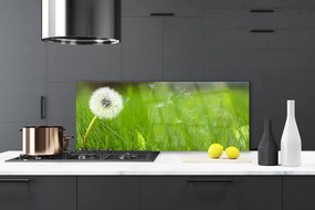 Szkło do Kuchni na Ścianę Lekkość Lata: Dmuchawiec