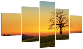 Obraz drzewa na polu (125x70 cm)