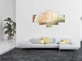 Obraz - Rośliny po deszczu (125x70 cm)