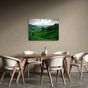Obraz na szkle - Plantacje herbaty w Malezji (70x50 cm)