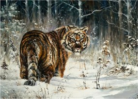 Obraz - Tygrys w zaśnieżonym lesie, obraz olejny (70x50 cm)