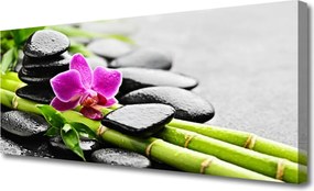 Obraz na płótnie Egzotyczna Harmonia Spa