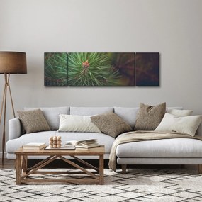 Obraz - Detal sosny (170x50 cm)