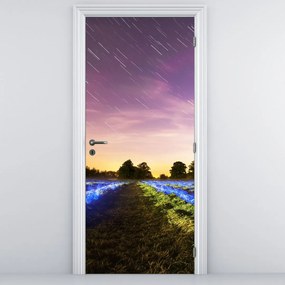 Fototapeta na drzwi - Kolorowe pole (95x205cm)