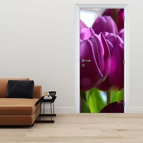 Fototapeta na drzwi - Tulipany (95x205cm)