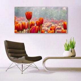 Obraz Canvas Tulipany Kwiaty Roślina