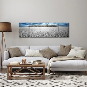 Obraz pola (170x50 cm)