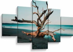 Obraz -  Wyłowiono na plaży (125x70 cm)