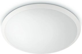 Philips 31823/31/P5 - oprawa sufitowa LED WAWEL LED/36W/230V