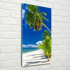 Foto obraz szklany pionowy Tropikalna plaża