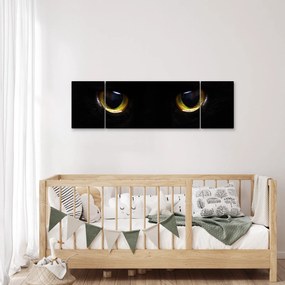 Obraz - Kocie oczy (170x50 cm)