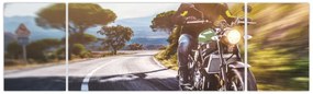 Obraz - Motocyklista (170x50 cm)
