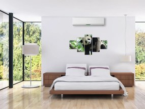 Obraz - Panda na drzewie (125x70 cm)