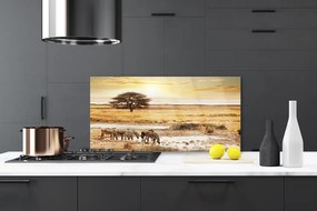 Panel Kuchenny Zebry Na Afrykańskiej Sawannie