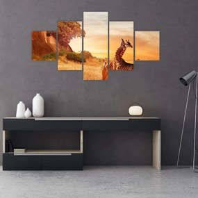 Obraz - Żyrafy w Afryce (125x70 cm)