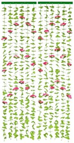Czerwono-zielona zasłona na drzwi 90x190 cm Roses – Maximex
