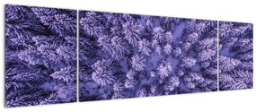 Obraz ośnieżonych drzew (170x50 cm)