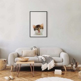 Plakat Zirytowany kot 29,7x42 cm z ramą czarną z marginesem ARTGEIST B
