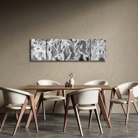 Obraz - Zmarznięte liście, czarno - biały (170x50 cm)