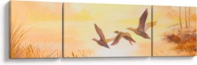 Obraz - Żurawie o zachodzie słońca (170x50 cm)