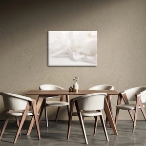 Obraz - Pióro (70x50 cm)