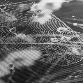 Obraz - Pajęczyna na łące (z zegarem) (90x30 cm)