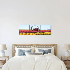 Obraz farmy tulipanów (z zegarem) (90x30 cm)