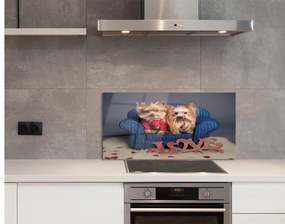 Szklany Panel Yorki
