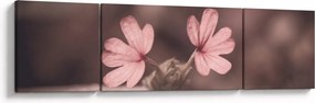 Obraz kwiatu róży (170x50 cm)