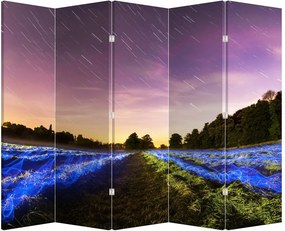 Parawan - Kolorowe pole (210x170 cm)