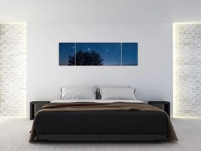 Obraz drzew w nocy (170x50 cm)