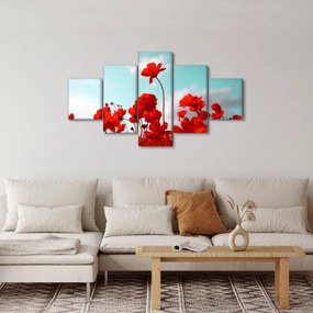 Obraz pola z jasnoczerwonymi kwiatami (125x70 cm)