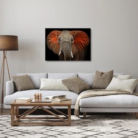 Obraz na szkle - Słonie z Tsavo (70x50 cm)