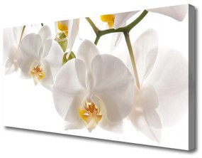 Obraz Canvas Orchidea Kwiaty Natura