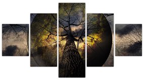 Obraz - Tajemnicze niebo (125x70 cm)
