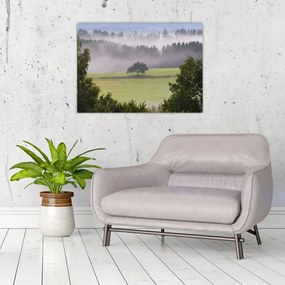 Obraz łąki z drzewem (70x50 cm)