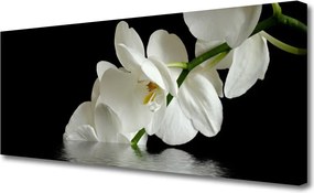 Fotoobraz na płótnie Orchidea Zanurzona w Wodzie