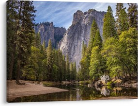 Obraz - Pod Yosemite Rock (70x50 cm)